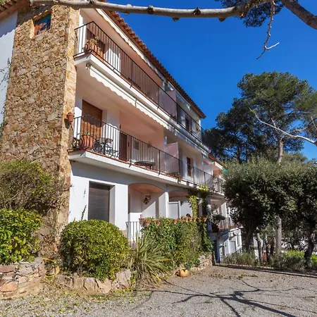 Apartment Puig Grui 1
